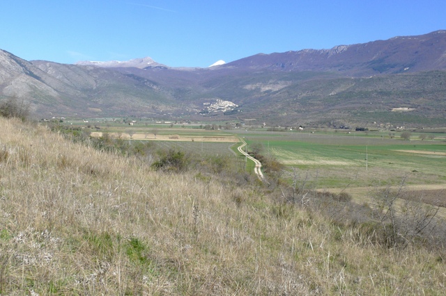 Ophrys precoci nellAbruzzo sud orientale 2022